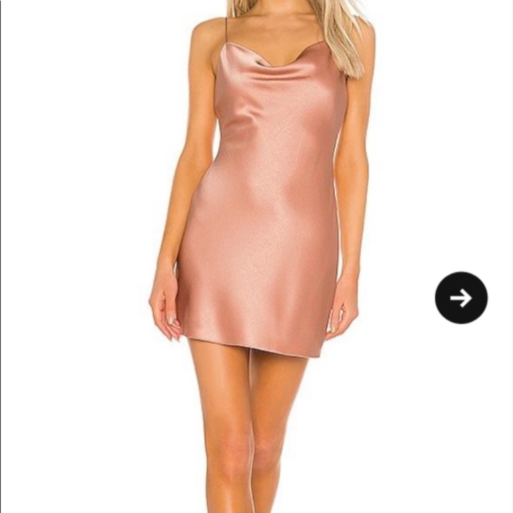 Beautiful Alice and Olivia Slip Dress Size 2